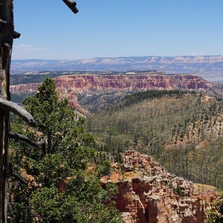 Farview Point. Image Credit: Matt Kieffer via Flickr.