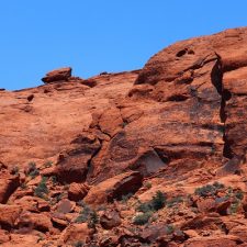 questions-we-know-you-have-about-red-rock-canyon questions-we-know-you-have-about-red-rock-canyon