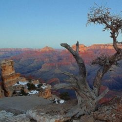 yaki-point Image Source: Jon Sullivan via Pixnio.